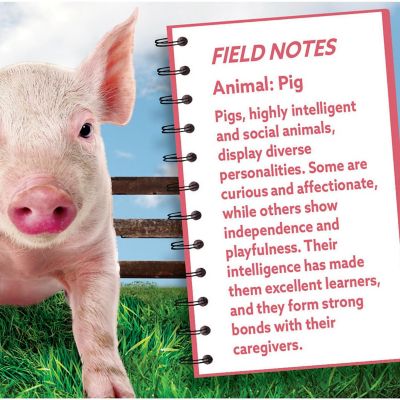 Pig 100 Piece Shaped Jigsaw Puzzle Image 3