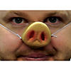 Pig Nose Image 1