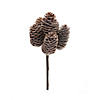 Pine Cone Bundle (Set Of 12) 9"H Cone Image 1