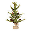 Pine Tree With Burlap Base (Set Of 2) 2'H Pvc Image 1