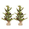 Pine Tree With Burlap Base (Set Of 2) 2'H Pvc Image 1