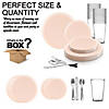 Pink Flat Round Disposable Plastic Dinnerware Value Set (120 Settings) Image 2