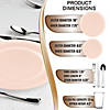 Pink Flat Round Disposable Plastic Dinnerware Value Set (60 Settings) Image 1