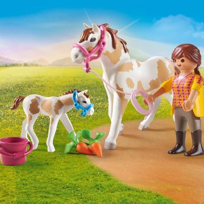 Playmobil 71243 Country Horse with Foal Building Set Image 2