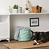 Polyester Pet Bin Lattice Paw Aqua Round Medium Image 3
