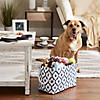 Polyester Pet Bin Paw Lattice Navy Rectangle Small 14X8X9 Image 4