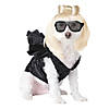 Pop Sensation Dog Costume Image 1