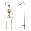 Posable Skeletons & Shepherd&#8217;s Hook Halloween Decorating Kit - 12 Pc. Image 1