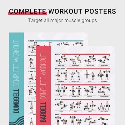 PosterMate (16.5 x 25 Inch) FitMate Dumbbell and Barbell Bundle Workout Exercise Poster - Workout Routine Image 1