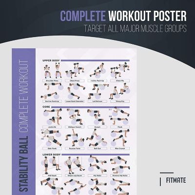 PosterMate FitMate Stability Ball Workout Exercise Poster - Workout Routine   (20 x 30 Inch) Image 1