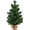 Potted Mini Pine Medium Artificial Christmas Tree - 18" - Unlit Image 1