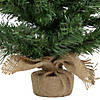 Potted Mini Pine Medium Artificial Christmas Tree - 18" - Unlit Image 3