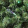 Pre-Lit Buffalo Fir Commercial Artificial Christmas Wreath - 5-Foot  Multi LED Lights Image 1