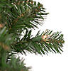 Pre-Lit Windsor Pine Artificial Christmas Wreath - 24-Inch  Clear Lights Image 2