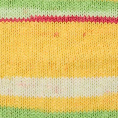 Premier Basix Trendy Yarn-Watermelon Image 2