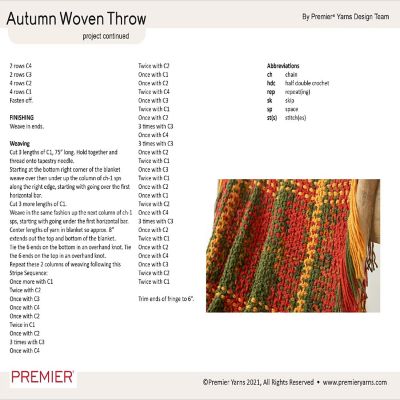 Premier Basix Yarn-Ember Image 2