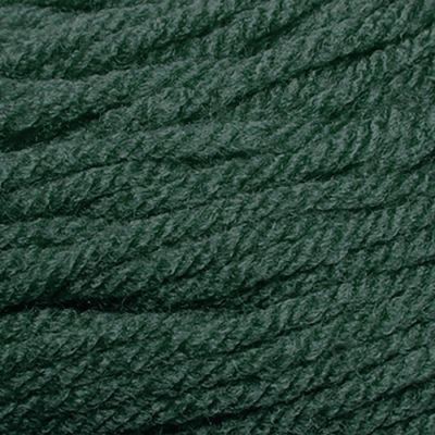 Premier Basix Yarn-Juniper Image 2