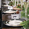 Premium Ivory Plastic Dinner Plates with Silver Border - 25 Ct. Image 2