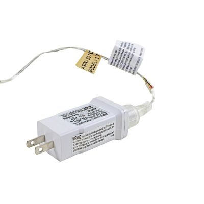 ProductWorks Micro Bulb LED Light String, Cool White, 60-Feet Image 3