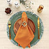 Pumpkin Spice Solid Napkin (Set Of 6) Image 3