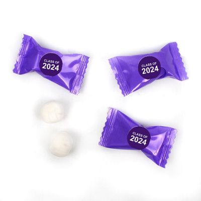Purple Graduation Candy Mints Party Favors Individually Wrapped Buttermints Class of 2024 - 55 Pcs Image 1