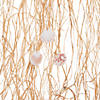 Raffia with Shells Curtain Backdrop Image 1