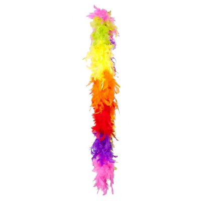 Rainbow Adult Feather Costume Boa Image 1