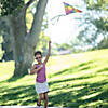 Rainbow Kites with Tail - 12 Pc. Image 1