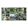Rainforest VBS Poster Set - 6 Pc. Image 1