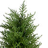 Real Touch Artificial Cedar Pine Petite Arborvitae Tree in Round Pot  Unlit - 2' Image 2