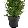 Real Touch Artificial Cedar Pine Petite Arborvitae Tree in Round Pot  Unlit - 2' Image 3