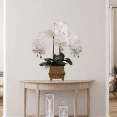 Real Touch White Phalaenopsis Orchid Image 1
