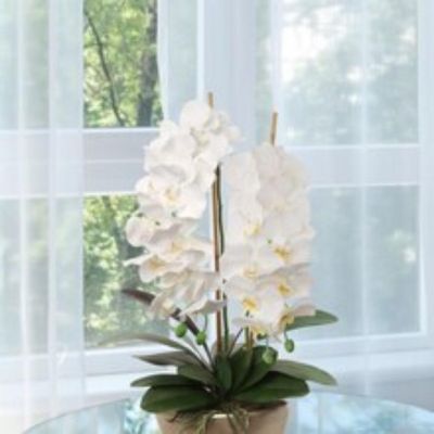 Real Touch White Phalaenopsis Orchid Image 2