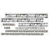 Realistic Birch Trees Peel &amp; Stick Giant Decals Image 1