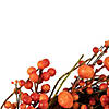 Red and Orange Berries with Mini Pumpkins Fall Harvest Wreath  20-Inch  Unlit Image 2