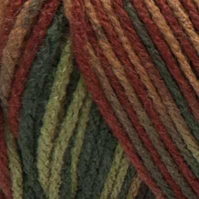 Red Heart Super Saver Yarn-Fall Image 1