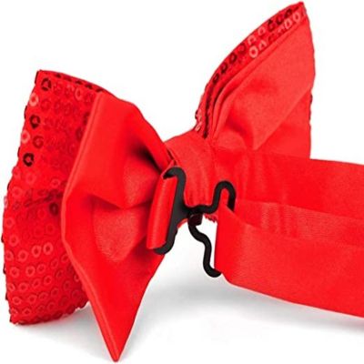 Red Men's 2.5 Sparkle Bow Tie Image 2