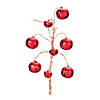 Red Sleigh Bell Spray (Set Of 6) 16"H Iron Image 1