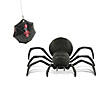 Remote Control Spider Image 1