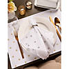 Reversible Polka Dot Placemat(Set Of 4) Metallic Silver/White Image 1