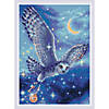 Riolis Diamond Mosaic Kit 10.75x15 Magic Owl Image 1