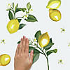 Roommates Lemon Peel And Stick Wall Decals Image 4
