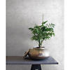 Roommates Ulo Texture Peel &amp; Stick Wallpaper - White Image 1
