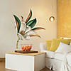 Roommates Vintage Magnolia Peel And Stick Giant Wall Decals Image 1