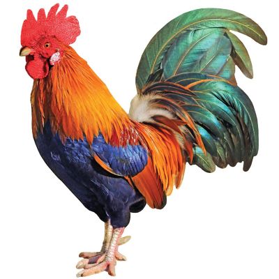 Rooster 100 Piece Shaped Jigsaw Puzzle Image 2