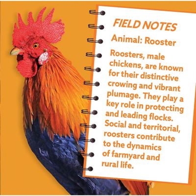 Rooster 100 Piece Shaped Jigsaw Puzzle Image 3