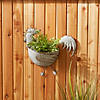 Rooster Galvanized Wall Planter Image 4