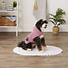 Rose Embroidered Paw Small Pet Robe Image 2