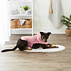 Rose Printed Trellis Paw Medium Pet Robe Image 2