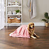 Rose Printed Trellis Paw Pet Towel Image 3